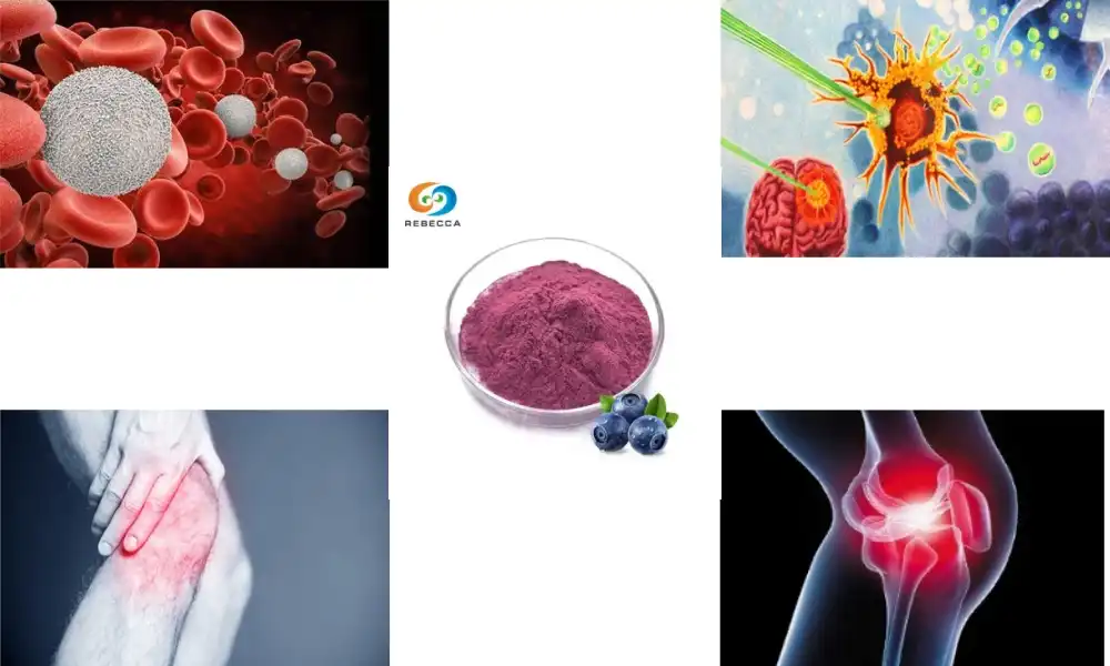 What are the anti-inflammatory properties of cranberry extract?